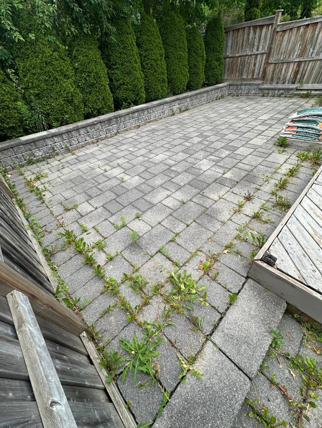 Before